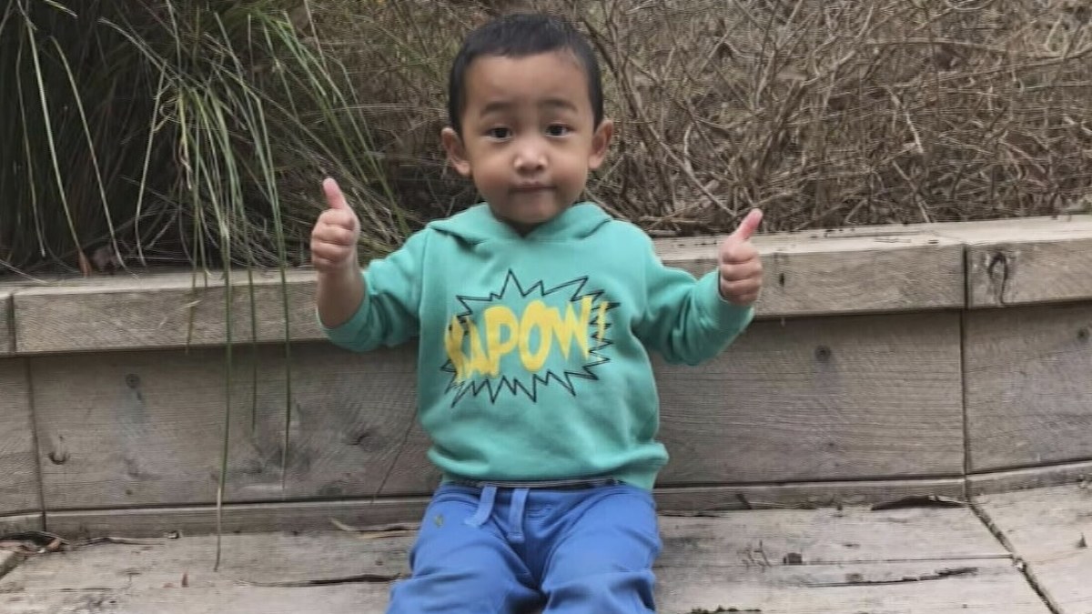 Blackburn North: 'Quiet, clever' boy dies after being hit by car in ...
