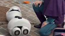 Animatronic character Olaf collapses at Disneyland Paris 