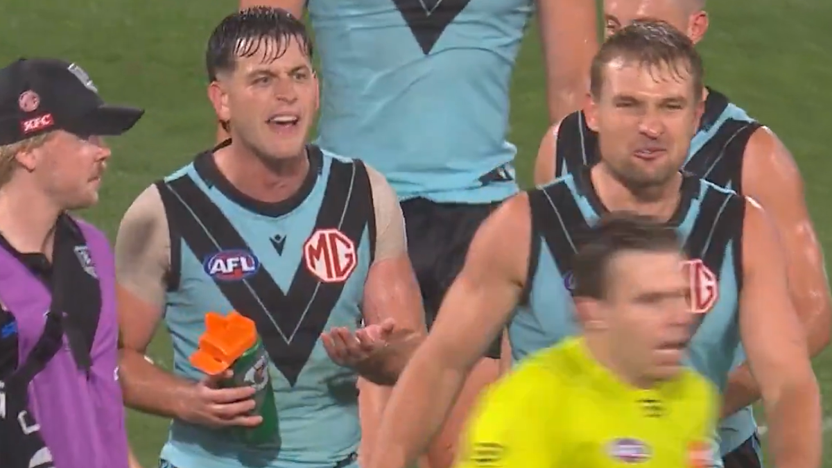 Power to appeal guilty verdict in umpire abuse saga