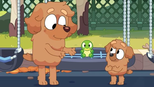 Bluey episode which uses Auslan
