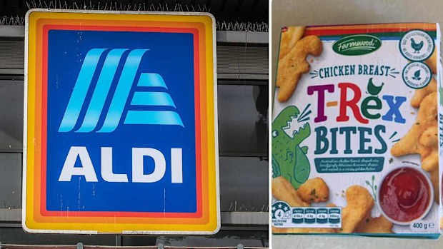 The recall for Aldi's T-Rex Bites covers all dates and batches of the product.