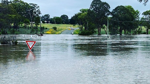The Severn River is swollen in Stanthorpe, Queensland today after the area was inundated with rain. This photo was shared by the Bureau of Meteorology from @elite_blinds_and_installations. 