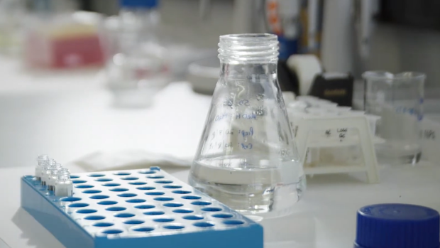 TDDA Drug Testing Services