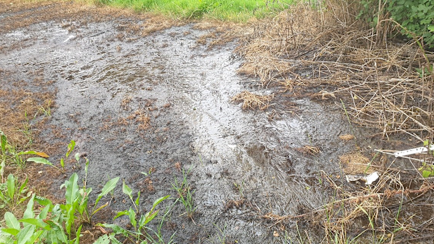 A burst pipe is thought to be responsible but authorities have not found the leak's origin.