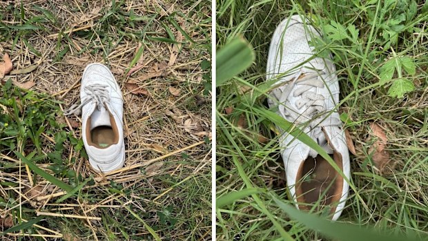 A pair of shoes have been found almost a week into the search for missing 27-year-old Jack McLeannan, who disappeared from a rural town north-west of the Sunshine Coast. 
