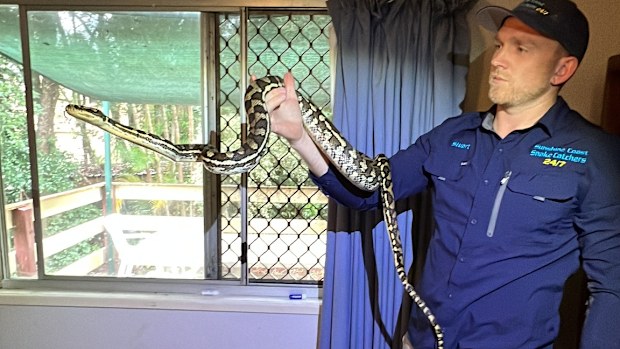 Mr McKenzie was called to the home to remove a carpet python.