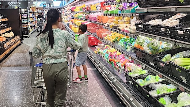 Aldi dad budget grocery shopping