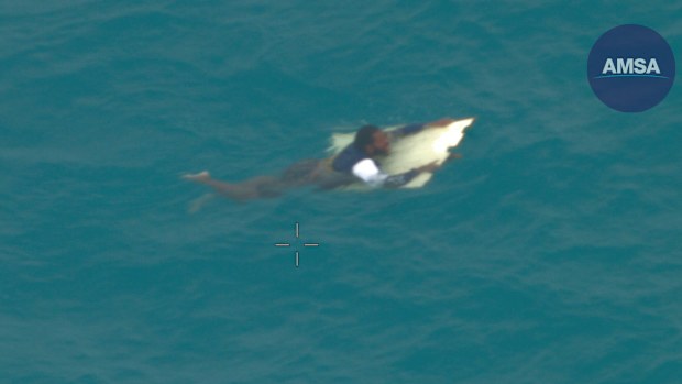Man survives over 24 hours in crocodile and shark-infested waters by clinging to a piece of wood
