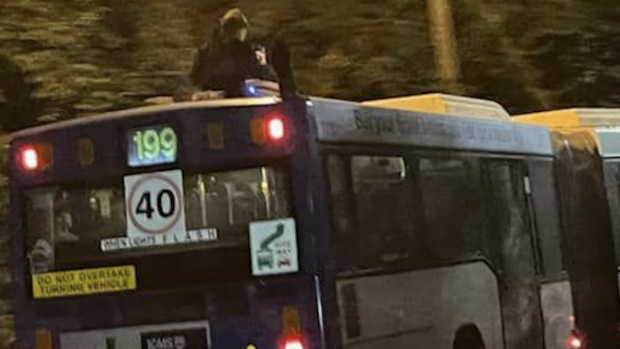 Police investigate dangerous bus stunt caught on camera in Sydney ...