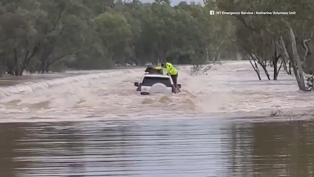 A police officer rescued the dog from floodwaters west of Katherine.