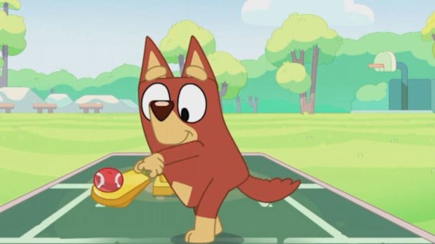 Bluey cricket episode