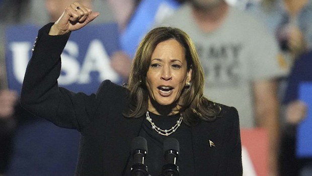 Democratic presidential nominee Vice President Kamala Harris speaks during a campaign rally at Carrie Blast Furnaces in Pittsburgh, Monday, Nov. 4, 2024. (AP Photo/Gene J. Puskar)