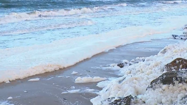 Sea foam at Henley Beach in Adelaide