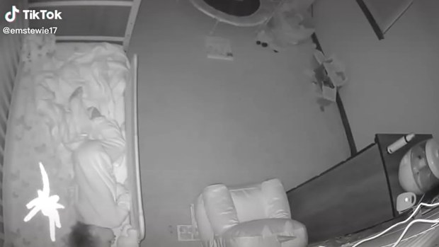 Spider caught on baby monitor. 