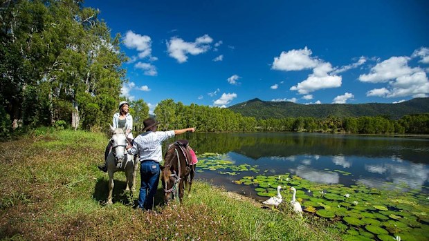 A North Queensland horse tour