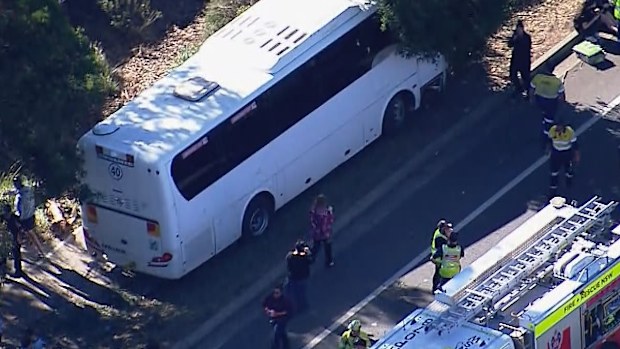 Bus carrying 40 students crashes into tree in Sydney's west