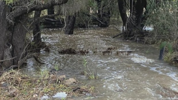 Record-breaking rain and wild weather battering the east coast has caused wastewater to release into Brisbane River, triggering an urgent health warning.
