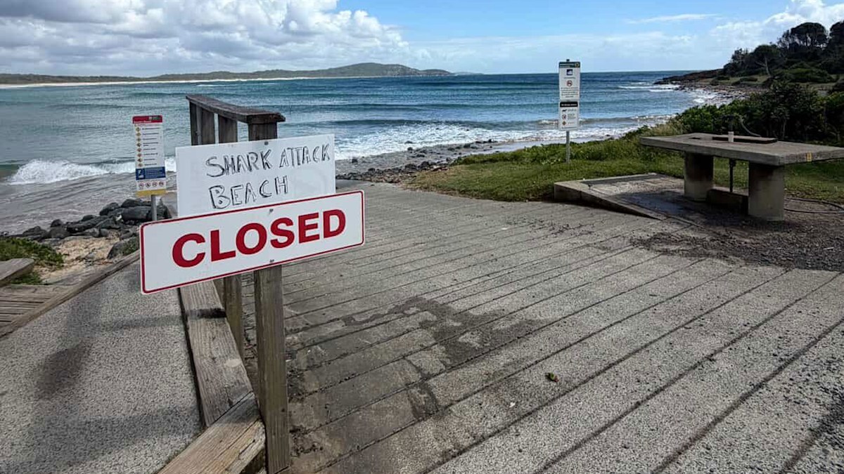 NSW shark attack: Surfer bitten on Mid North Coast in fourth incident ...