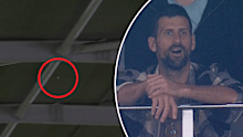 Novak Djokovic reacts after Marcus Stoinis appears to hit the roof.