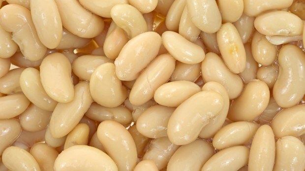 Close view of cannellini beans.