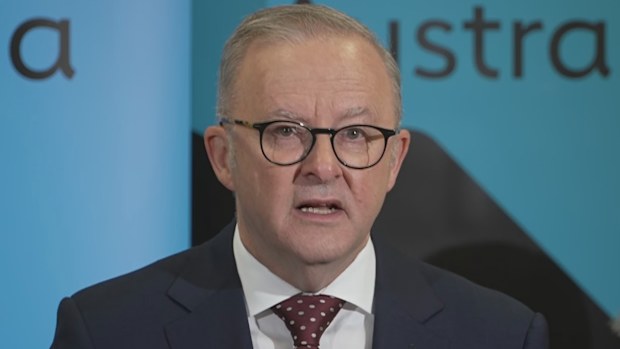Anthony Albanese was questioned about Taylor's comments in Brisbane today