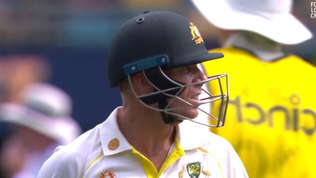 David Warner was out for 94.