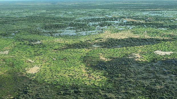 Lake Eyre transforms after rain turns red to green.