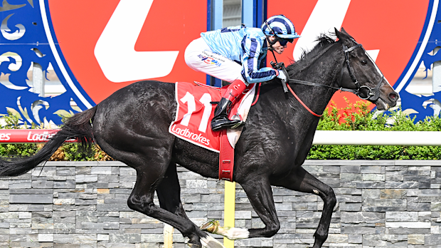 Onesmoothoperator, montado por Craig Williams, gana la Copa Geelong 2024.