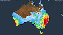 The forecast accumulated rain over Australia this week.