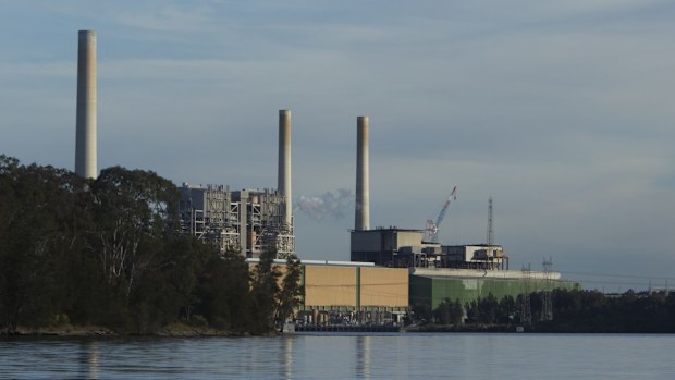 NSW government sells Vales Point power station for $1m