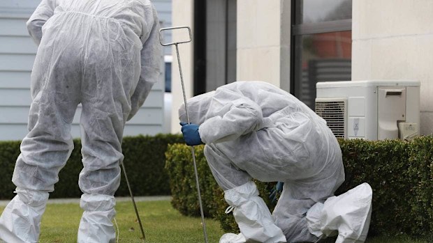 Police forensics officers scouring a lawn near a Queen St house in which three children were found dead.