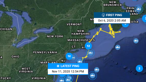 Data from Nakumi's tracker reveals she has started to head south.