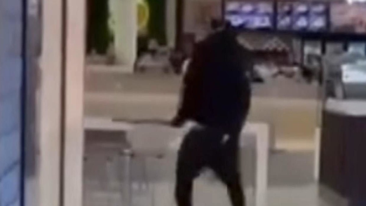 Broadmeadows: 'Distressing' knife fight breaks out at Melbourne ...