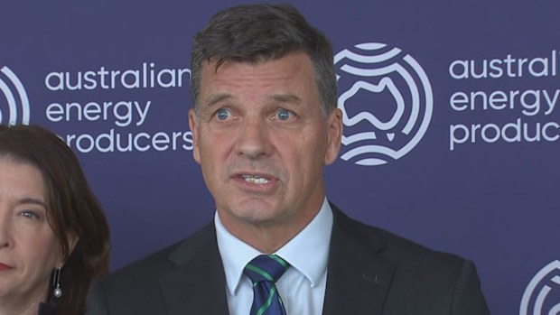Opposition Leader Angus Taylor speaking at the Australian Energy Producers conference today.