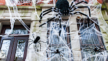 "Three big black spiders as decoration on a wall, window grids, and an entrance door of an American house for a Halloween party. A huge spider web around covering whole house. Halloween in Manhattan, New York City."
