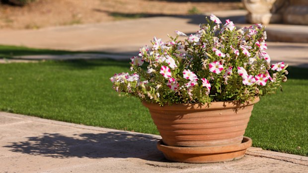 outdoor flower pot
