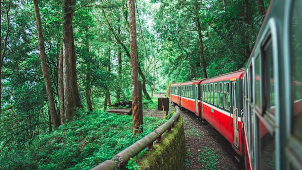 Is Taiwan good for tourists - Train ride in green forest at Alishan National Park, Taiwan