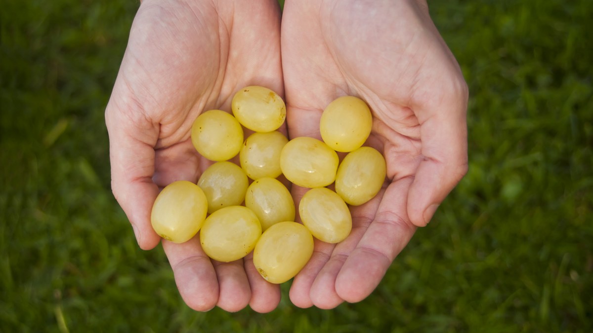 12 grapes at midnight: You will likely see people eating grapes at ...