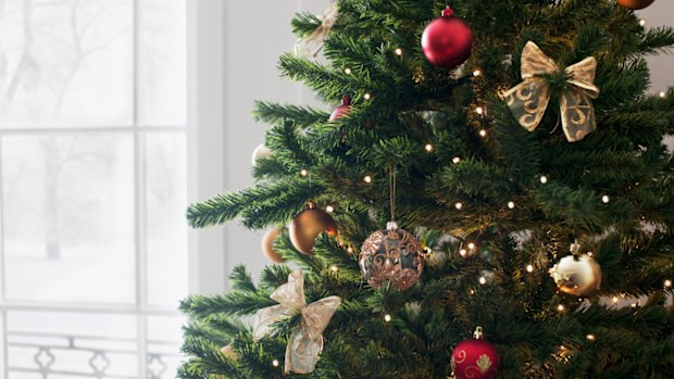 A decorated Christmas tree