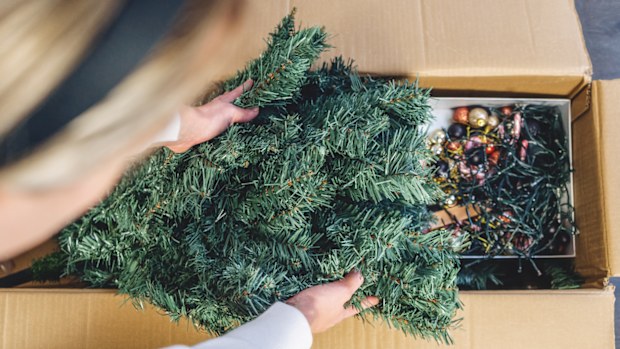Young woman unpacking the Christmas Tree box and taking out the Christmas Tree 