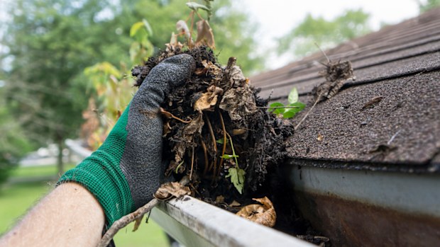 Cleaning gutters during the summer time.