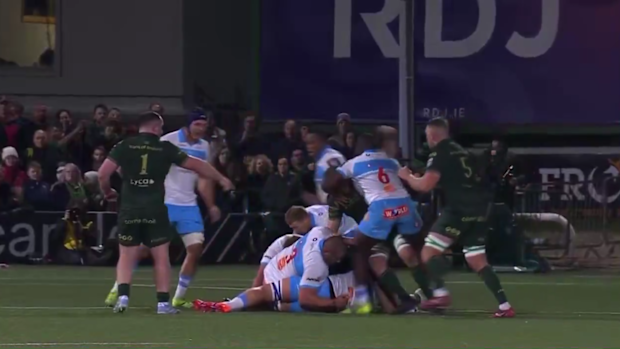 Rugby news 2025: Jan-Hendrik Wessels genital grab ban, Springboks and ...