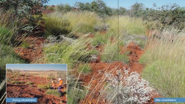 The second example given in the paperwork was of a seed management program run by BHP Billiton in the Pilbara. 