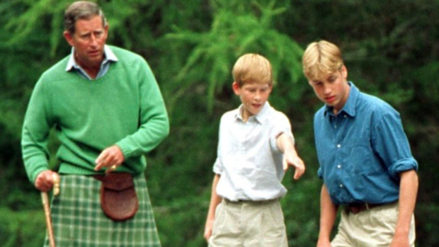 King Charles and sons, Prince Harry and Prince William