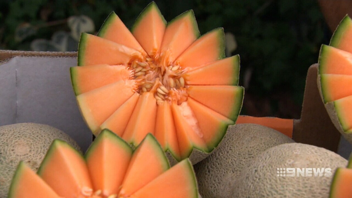 Listeria rockmelon outbreak: Fifth death in Victoria confirmed | Nine ...