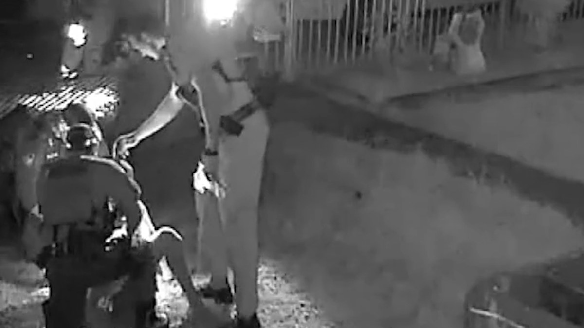 Queensland: Moment man caught alleged car thief after car drove through ...