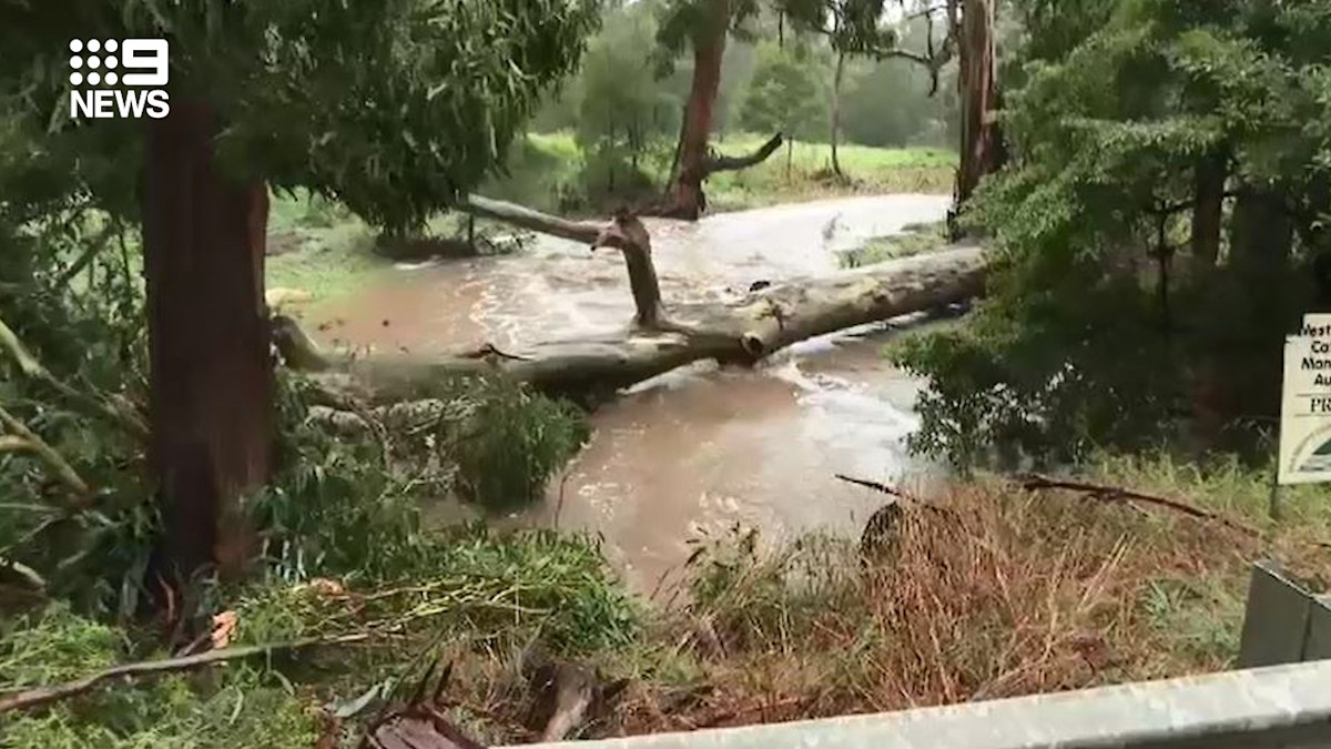 Wild Weather: Flash flooding and power outages in parts of Victoria ...