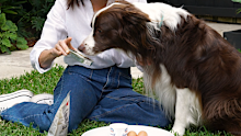 Dr Katrina Warren and her dog Chilli with a tin of sardines