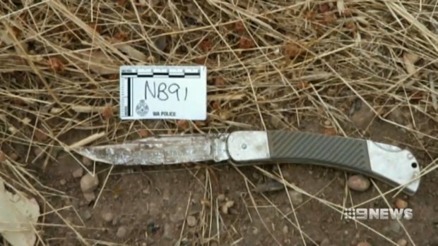 Dr Richard Sheperd said some of the wounds described are much longer than the length of the blade of the knife seized as evidence.