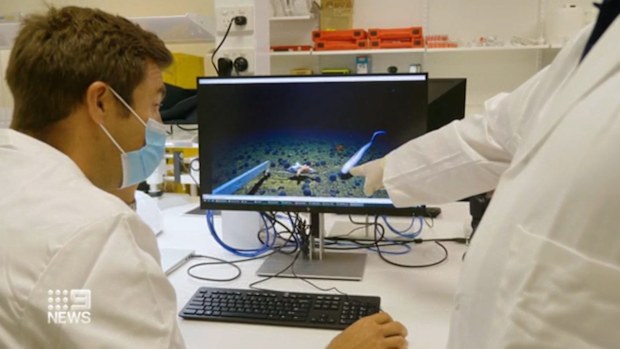 New Deep Sea Research Centre aims to explore the ocean floor and marine life of the Indian Ocean. 